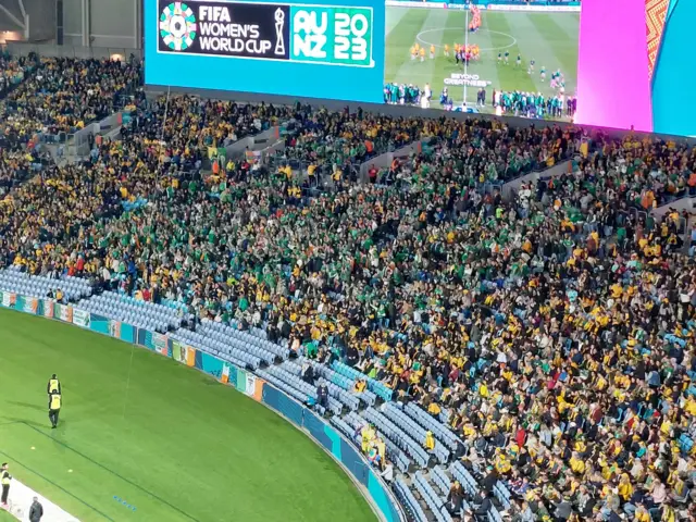 Irish fans in Stadium Australia