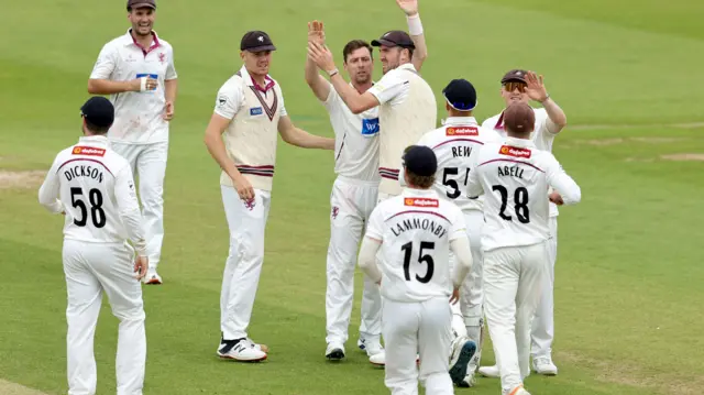 Matt Henry celebrates taking wicket for Somerset