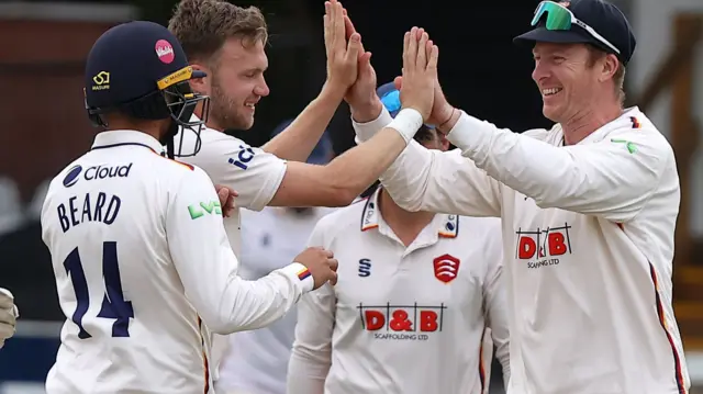 Essex celebrate taking wicket