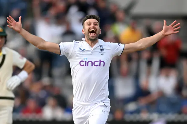 Mark Wood celebrates taking a wicket