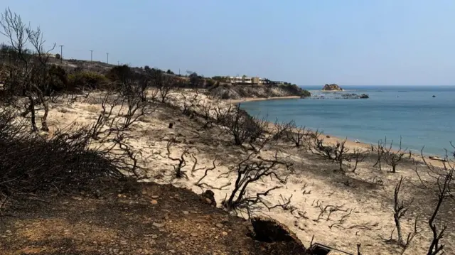 Fire burnt vegetation up to the coastline on the south east of Rhodes