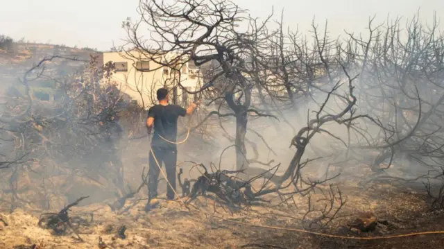 A man tries to extinguish a wildfire burning at Kiotari, on the island of Rhodes