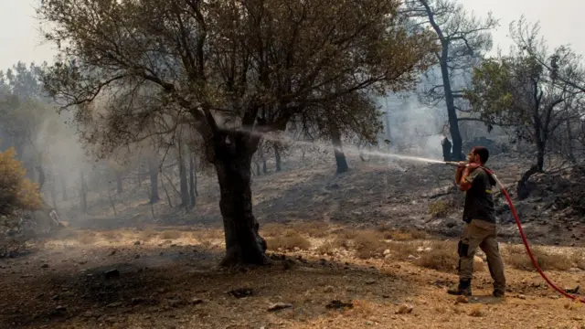 A man fires a hose at a tree