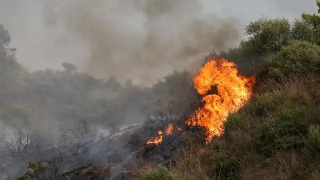 A forest fire burns near the village of Zberber, Bouira province in the mountainous Kabyle region, Algeria.