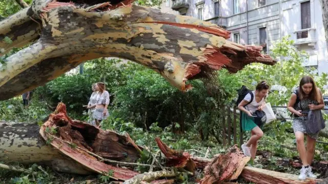 People walk through fallen trees following thunderstorms and torrential rain in Milan