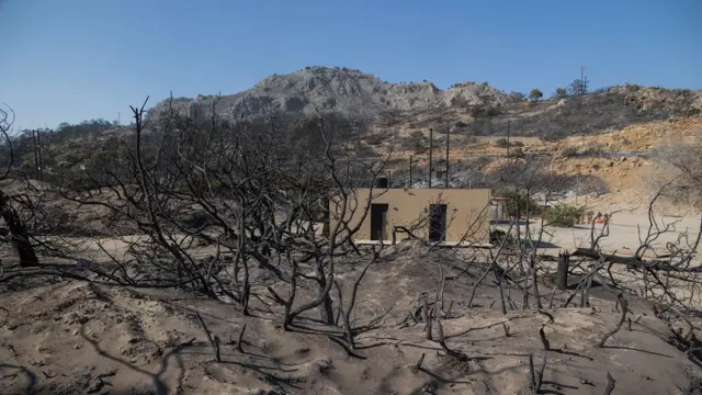 Charred trees are seen next to the beach of Glystra