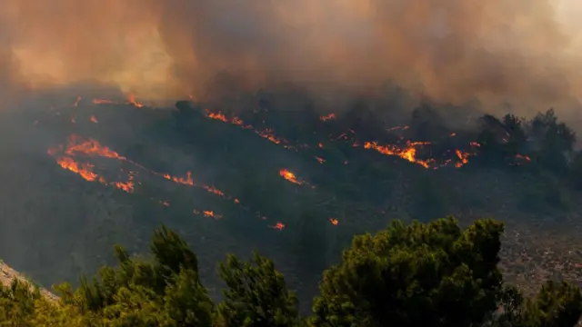 A fire burns trees and low vegetation in the Malona area of Rhodes