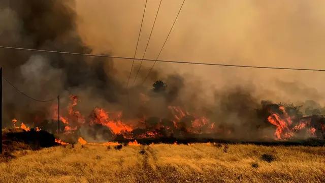 A fire burns trees and low vegetation in the Kiotari area of Rhodes, Greece, 24 July 2023