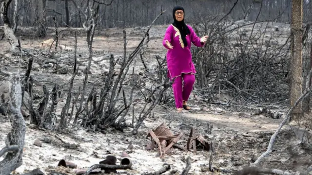 A woman walks through the charred remains of trees in the aftermath of a forest fire near the town of Melloulaula in northwestern Tunisia close to the border with Algeria on July 26, 2023.