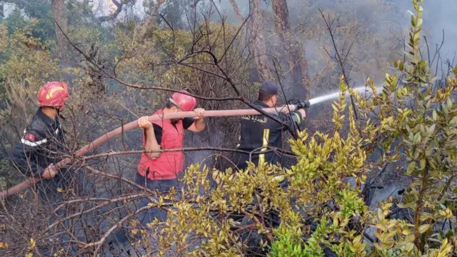 Fire fighter in Jendouba province, Tunisia - July 2023