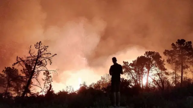 Fires burning in Jendouba province, Tunisia - July 2023