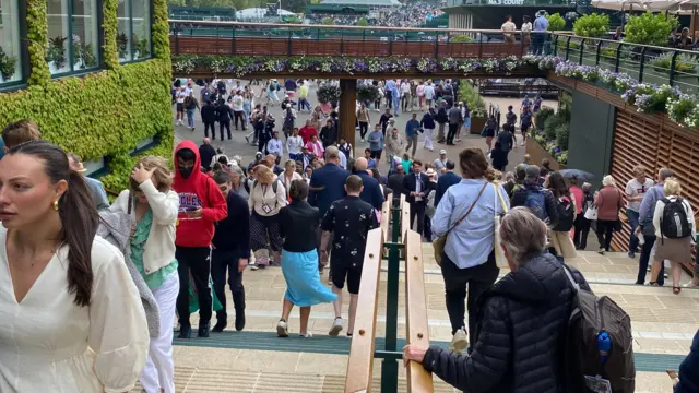 Wimbledon crowds