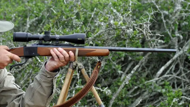 Someone aiming a gun on a hunting safari in southern Africa  - archive shot