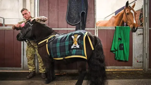 The people's procession will be led by Corporal Cruachan IV, the mascot of the Royal Regiment of Scotland