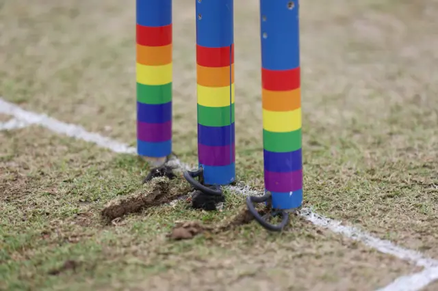 Rainbow stumps