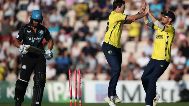 Hampshire celebrate taking wicket