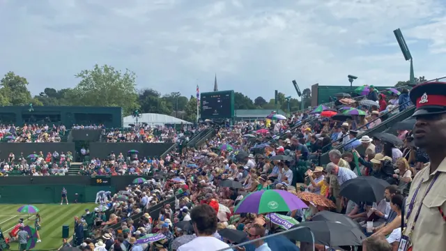 Umbrellas at wimbledon