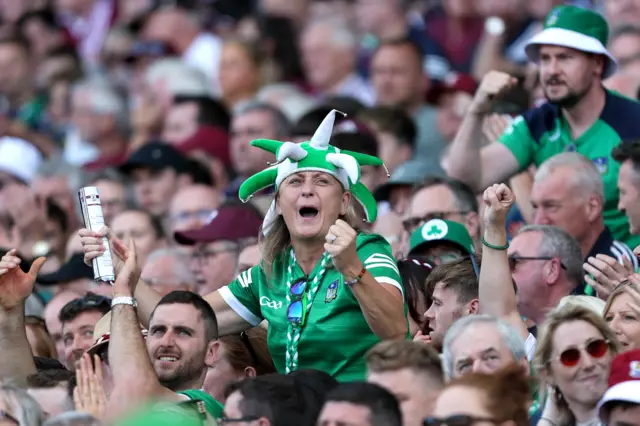 Limerick fan celebrates a point