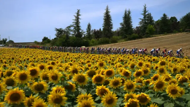 The peloton sweeps along