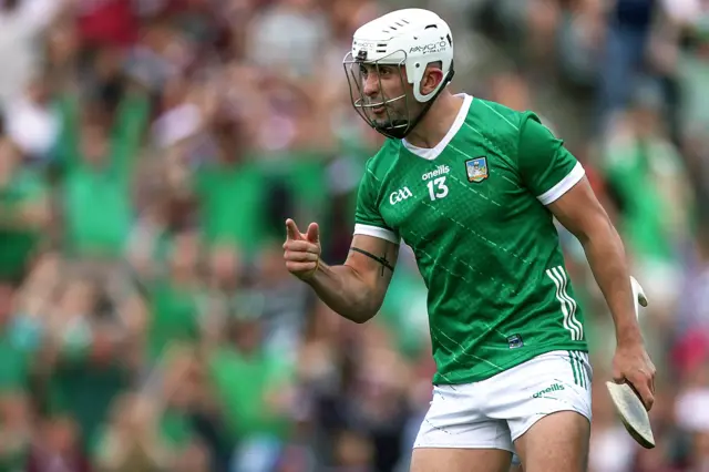 Aaron Gillane celebrates scoring for Limerick