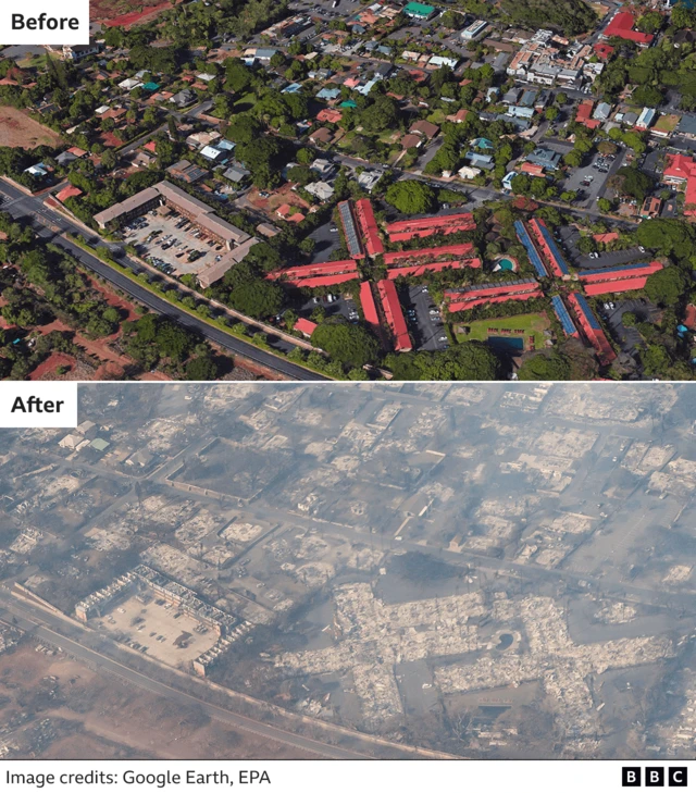 Photo composite of Hawaii wildfires