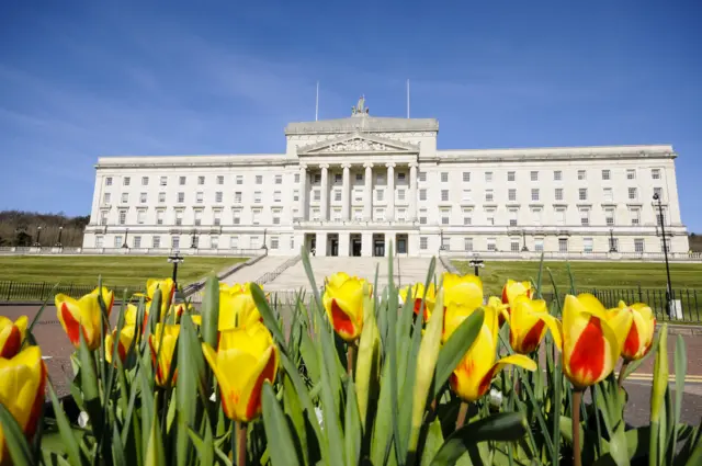 Tulips outside Parliament Buildings, Stormont, Belfast, home of the Northern Ireland Assembly. - stock photo