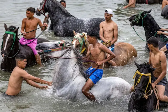 Moroccan Fantasia (tbourida) horsemen ride their horses in the Atlantic ocean waters off a beach in leisure time during the annual Moussem festival of Moulay Abdellah Amghar near the city of El Jadida on August 8, 2023.