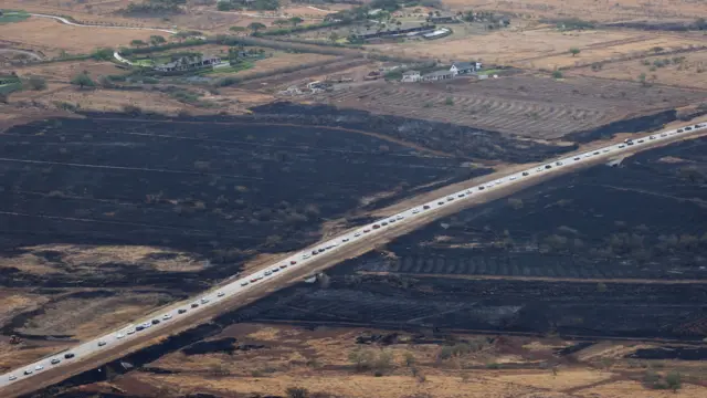 A long line of cars travelling in one direction on a road dissecting charred earth on their way out of Lahaina