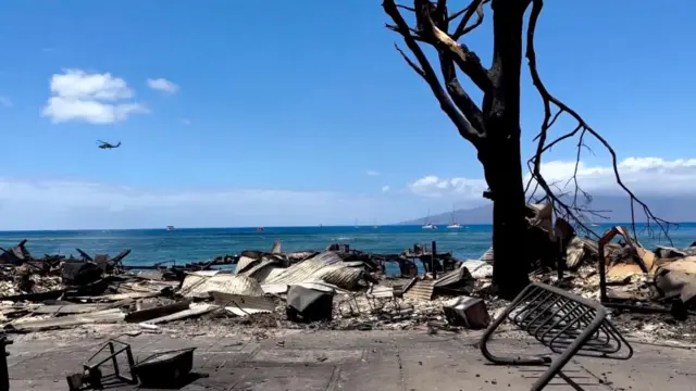 Debris following the fire on the coastline