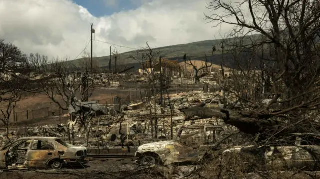 Carcasses of cars are seen among the ashes of a burnt neighbourhood in the aftermath of a wildfire, in Lahaina, western Maui, Hawaii