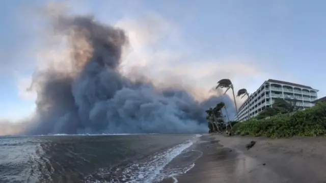 Wildfires driven by high winds hit Hawaiian island of Maui