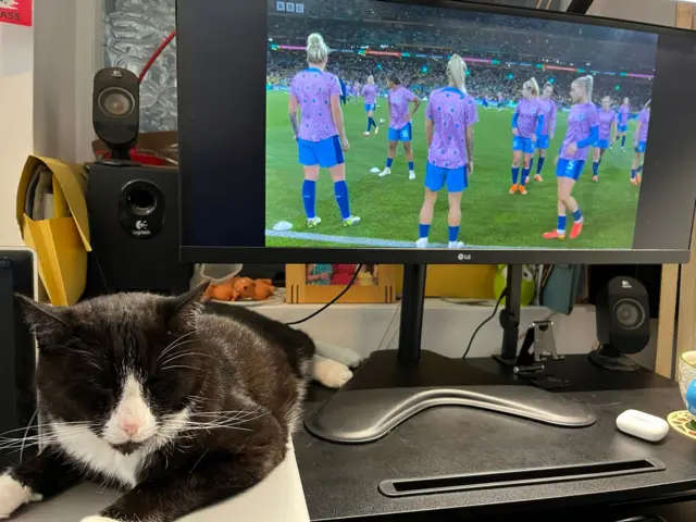 Cat sleeps beside TV monitor