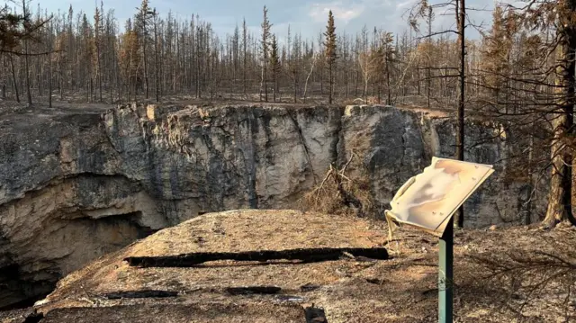 A sign is scorched among burned trees