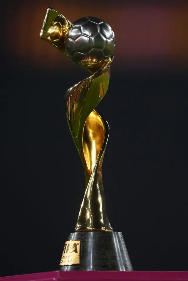 The World Cup trophy stands on it's plinth on the pitch.