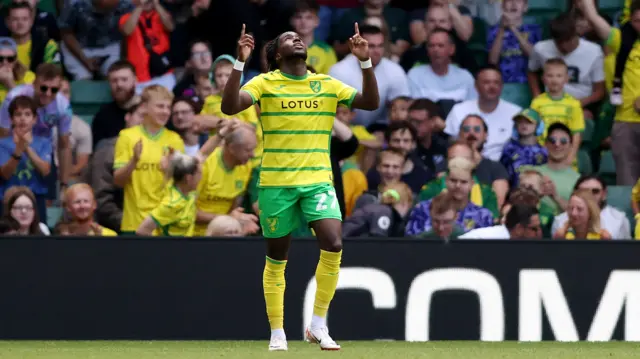 Jonathan Rowe celebrates his goal against Millwall for Norwich