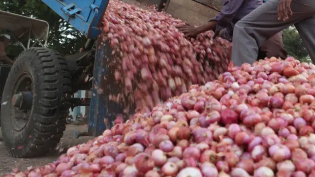 Onions being loaded off a lorry