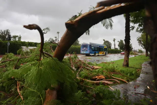 A broken tree limb partially blocks a road as Tropical Storm Hilary moves through Cathedral City, California.