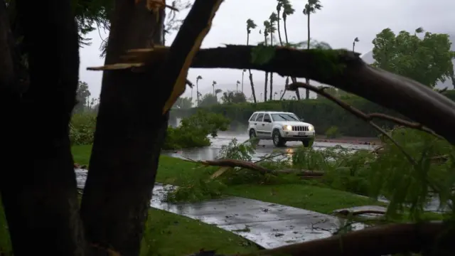 A car drives past a fallen tree