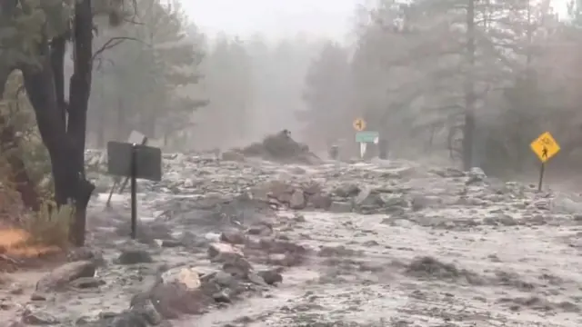 a path through forest looks like a river with rapids