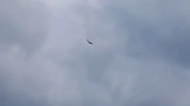 A plane falls from the sky