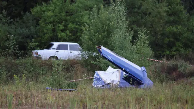 The wreckage of the private jet lies in a field