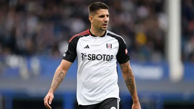 Aleksandar Mitrovic