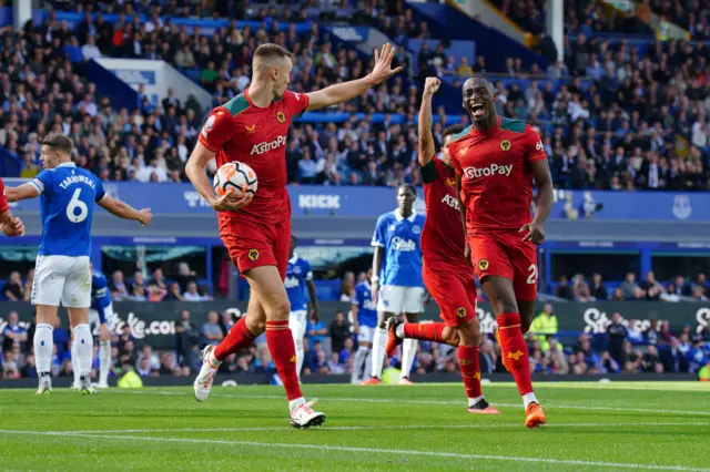 Wlves celebrate their goal at Goodison.