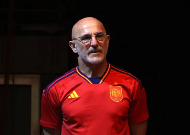 Luis de la Fuente in Spain shirt