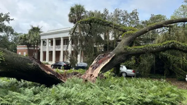 Tree falls on Governor's Mansion during storm