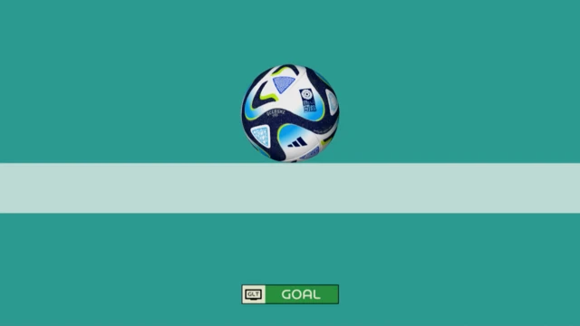 Goal line technology image for Sweden final penalty