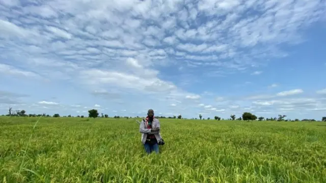 Rotimi Williams in a field