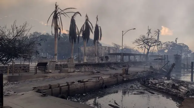 A scorched waterfront with four dead palm trees