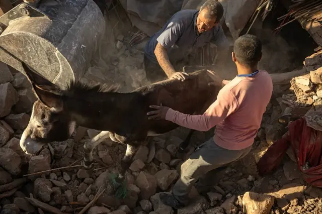 People rescue a donkey trapped under rubble in the mountain village of Tafeghaghte - 9 September 2023