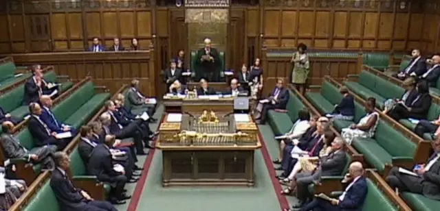 Linsey Hoyle speaking to a sparsely populated House of Commons